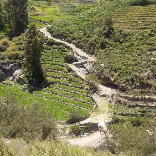 Camino Inca Privado 2 Días